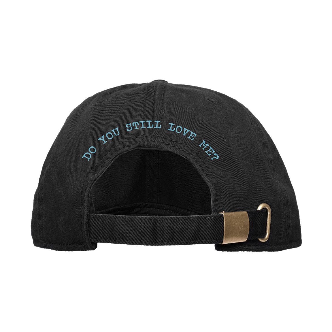Planes Mistaken For Stars "Do You Still Love Me?" Dad Hat