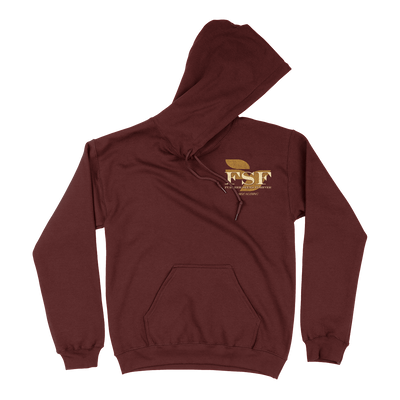 Further Seems Forever "Hide Nothing" Maroon Hooded Sweatshirt