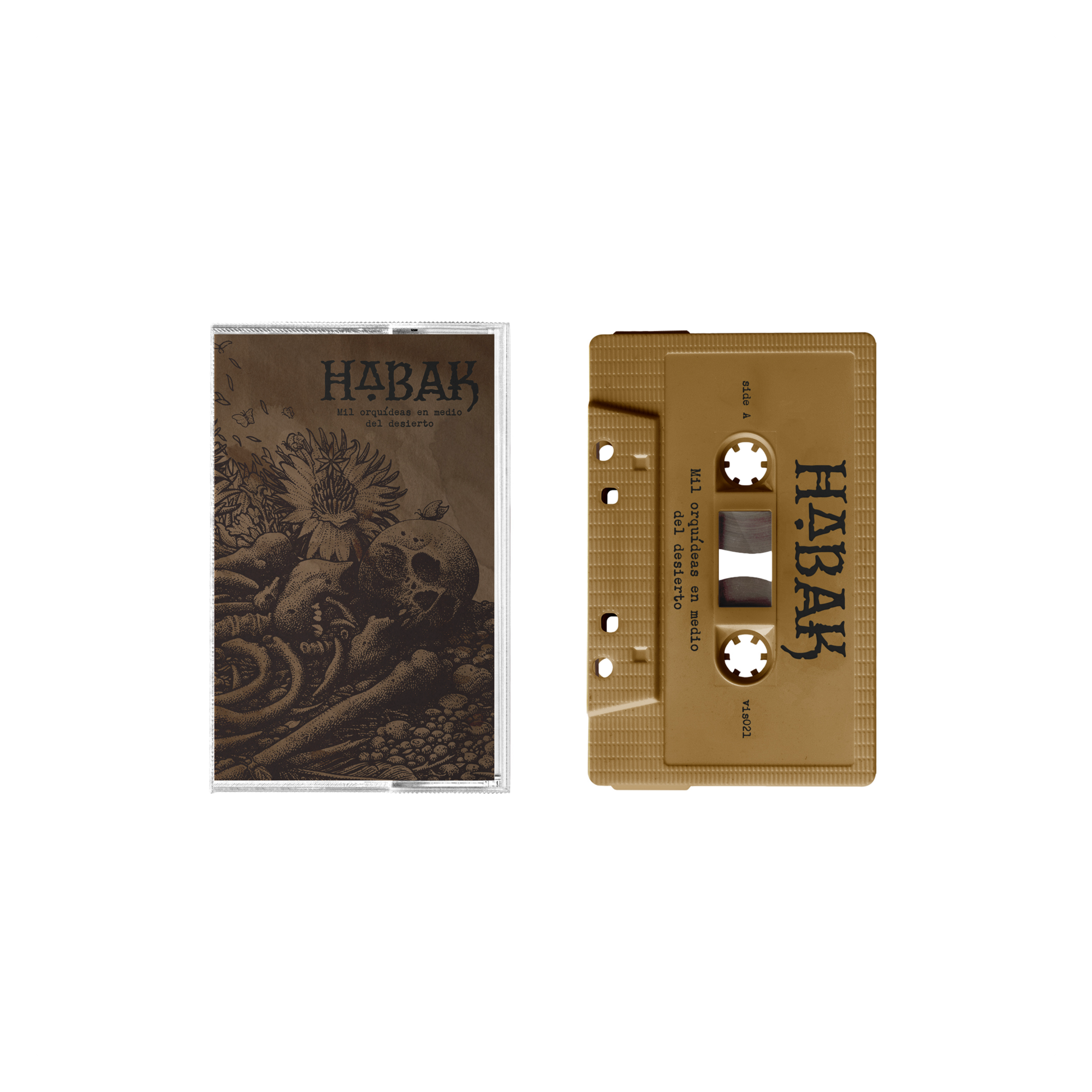 Habak "Mil Orquídeas En Medio Del Desierto"