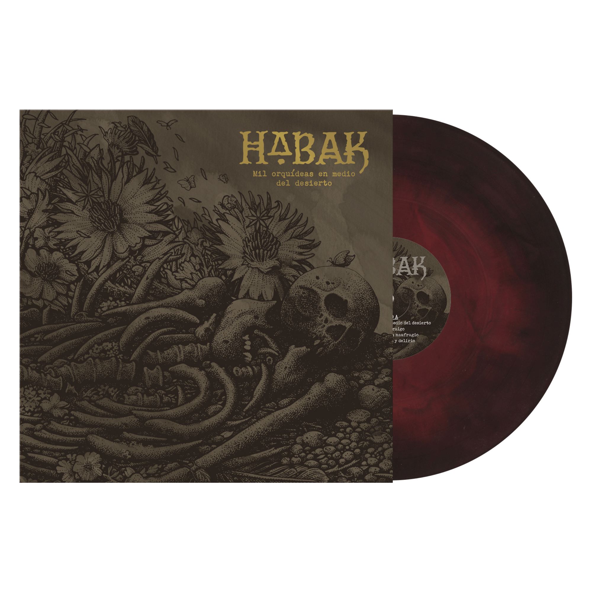 Habak "Mil Orquídeas En Medio Del Desierto"