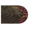 Habak "Mil Orquídeas En Medio Del Desierto"