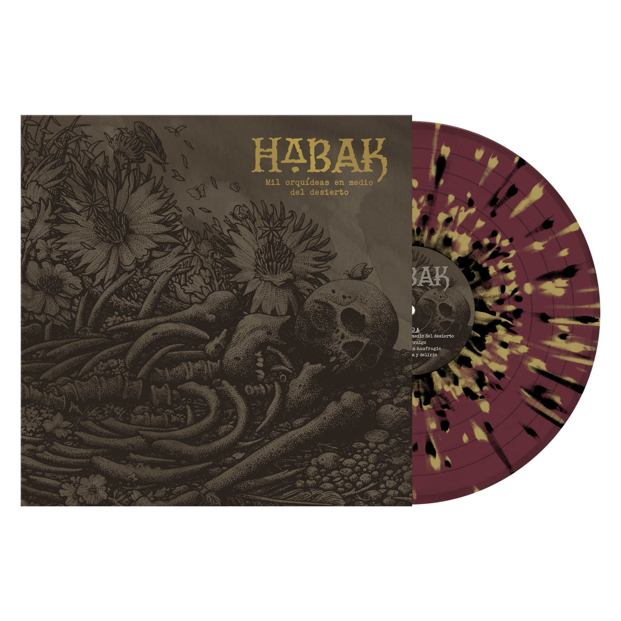 Habak "Mil Orquídeas En Medio Del Desierto"