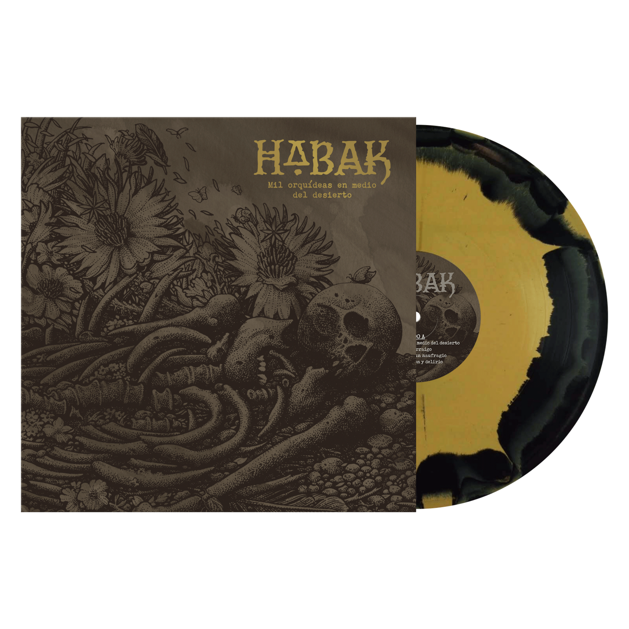 Habak "Mil Orquídeas En Medio Del Desierto"