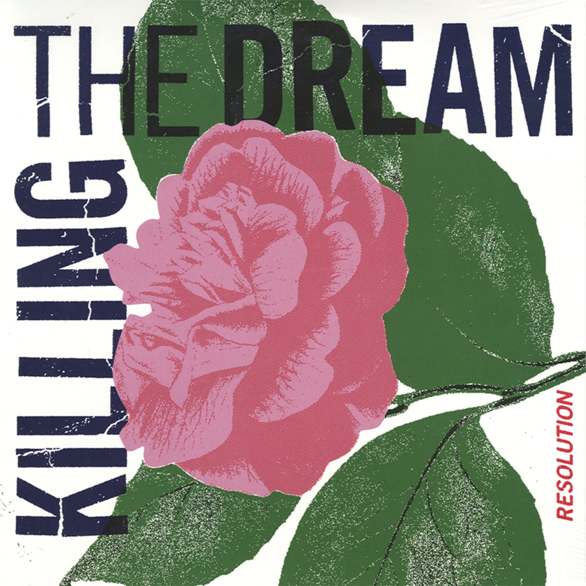 Killing The Dream "Resolution"