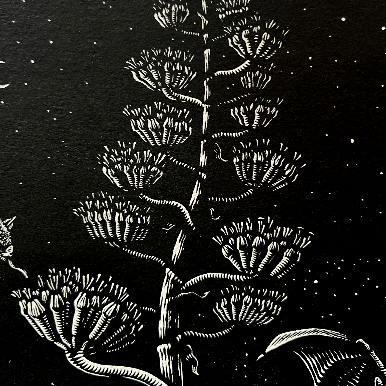 Mazatl "Murciélago Magueyero" Linocut Print