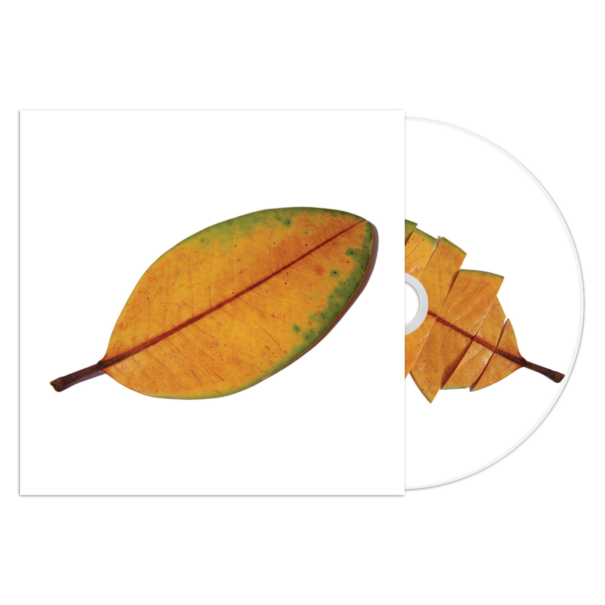 La Quiete "La Fine Non è La Fine"