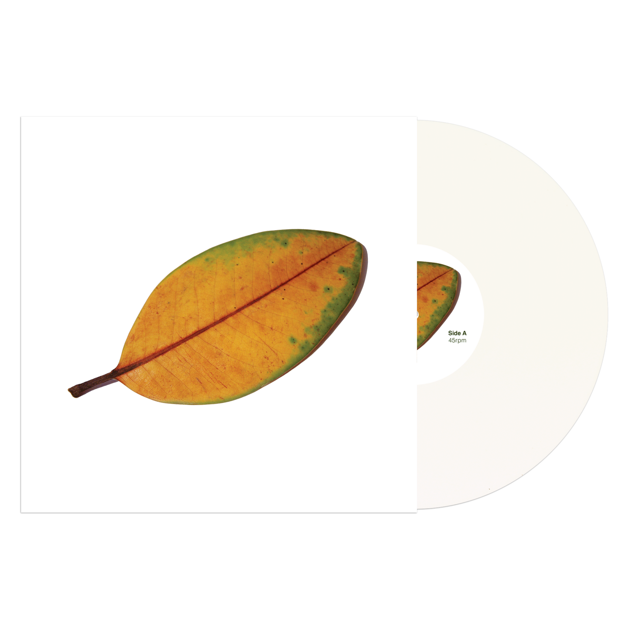 La Quiete "La Fine Non è La Fine"