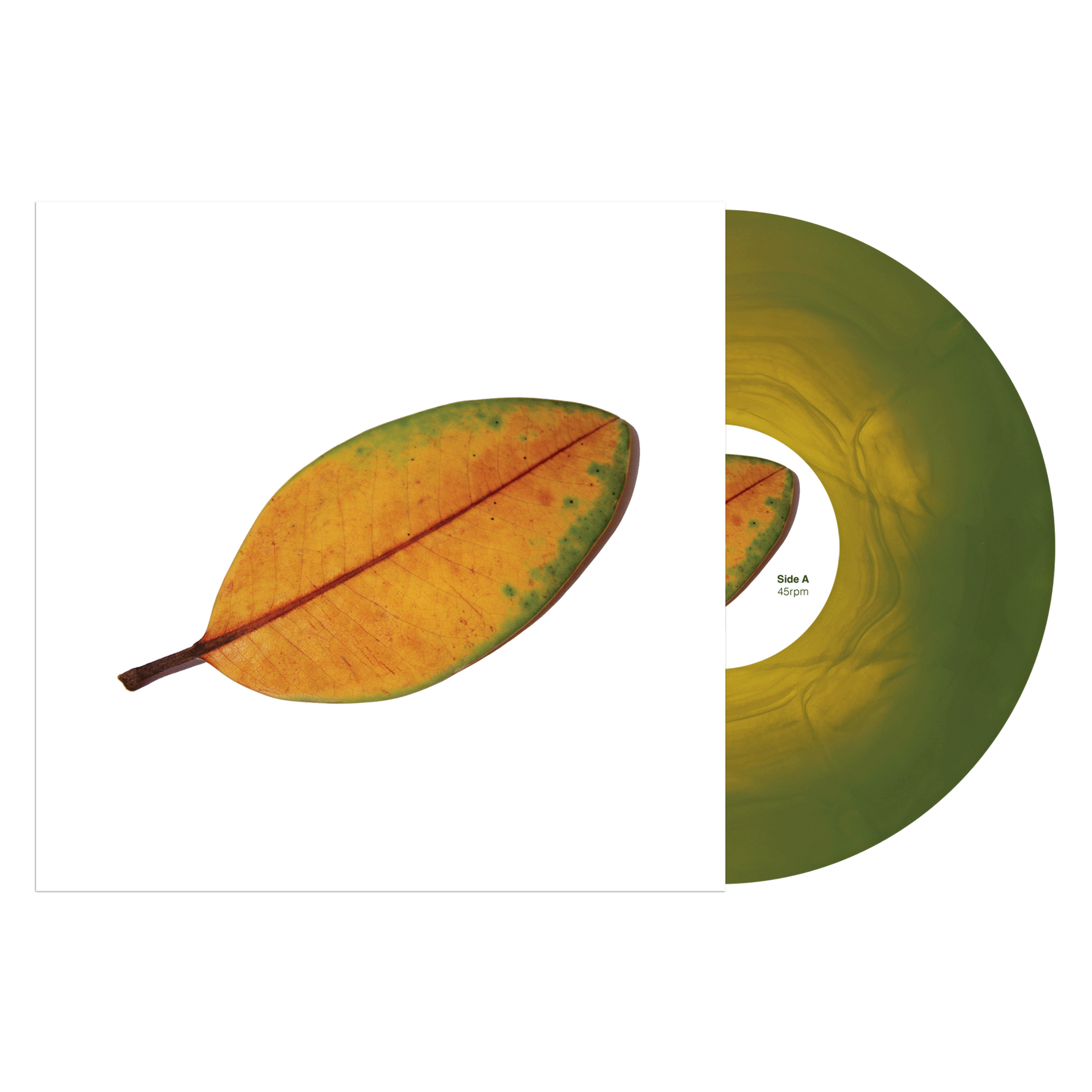 La Quiete "La Fine Non è La Fine"