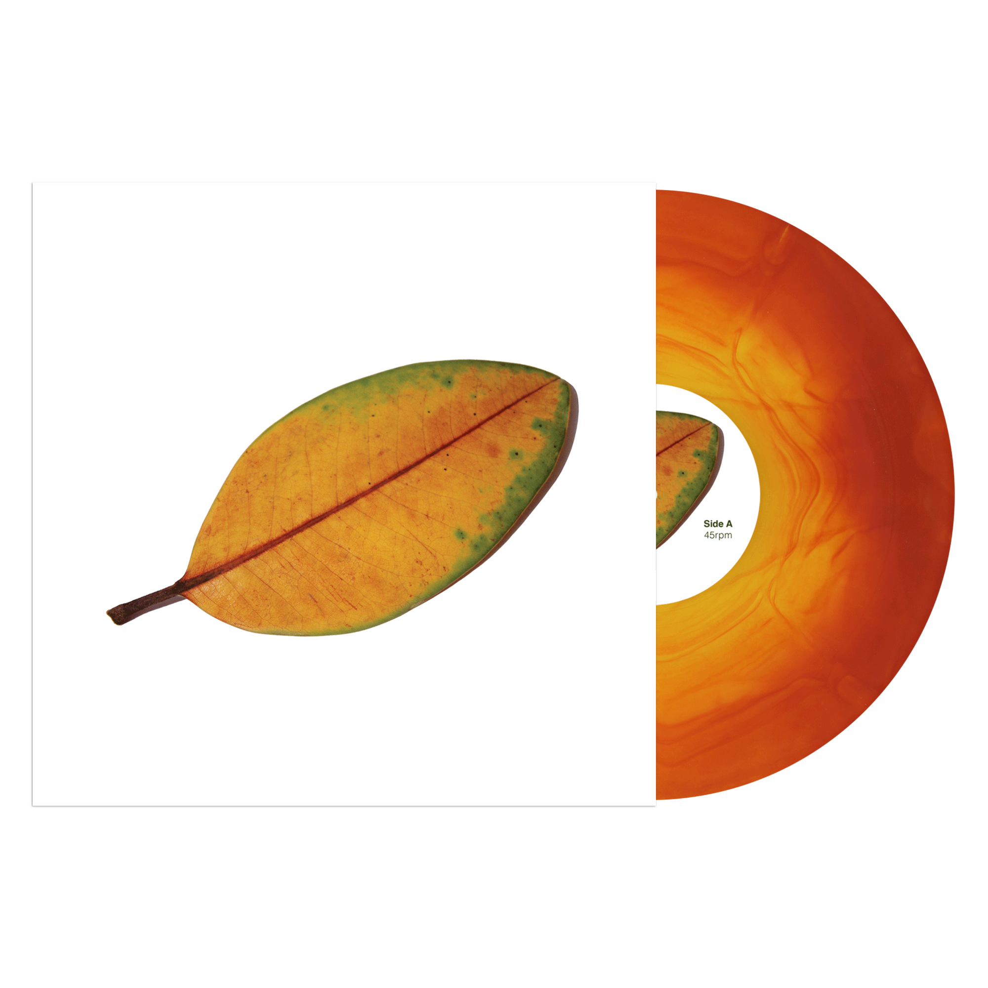 La Quiete "La Fine Non è La Fine"