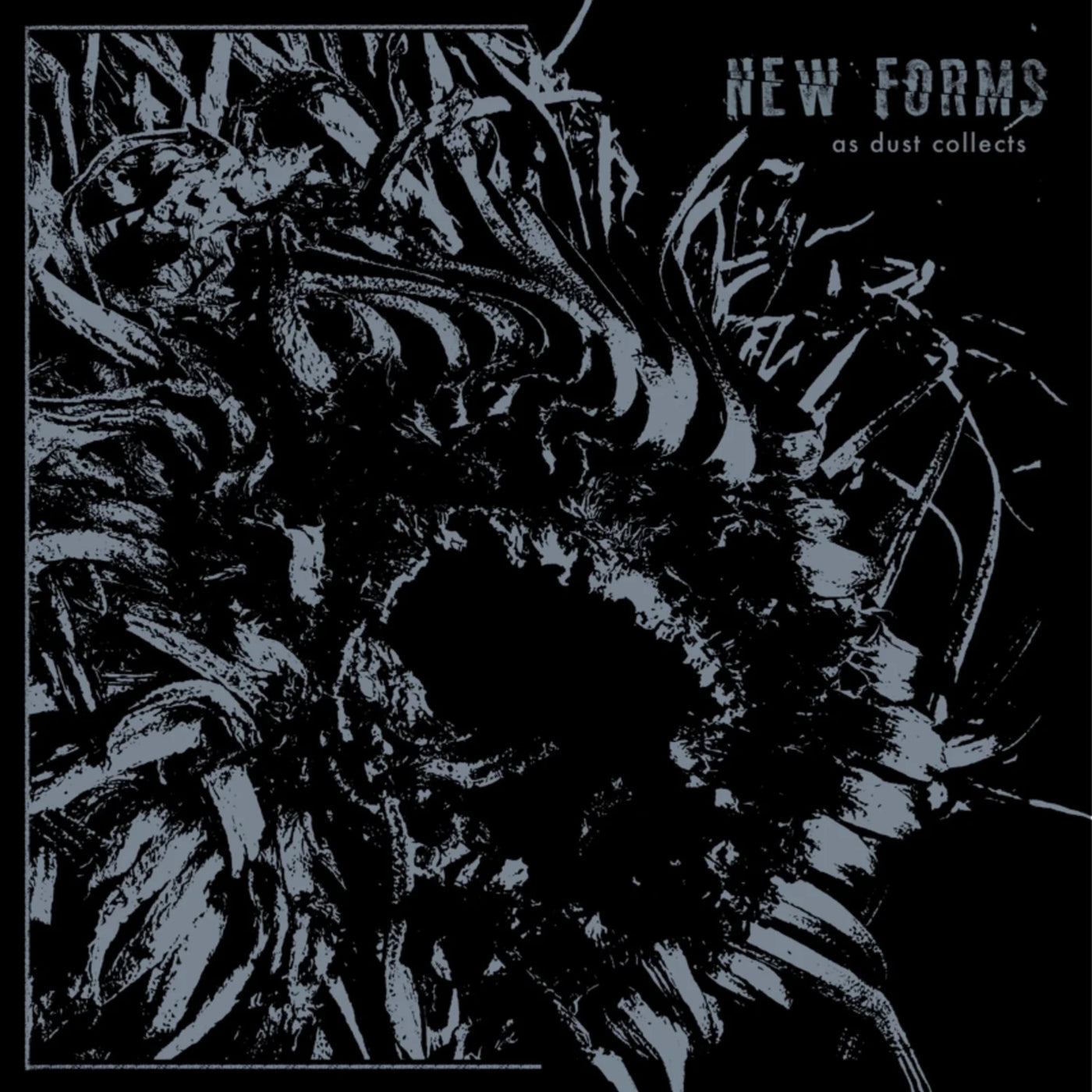 New Forms "As Dust Collects"