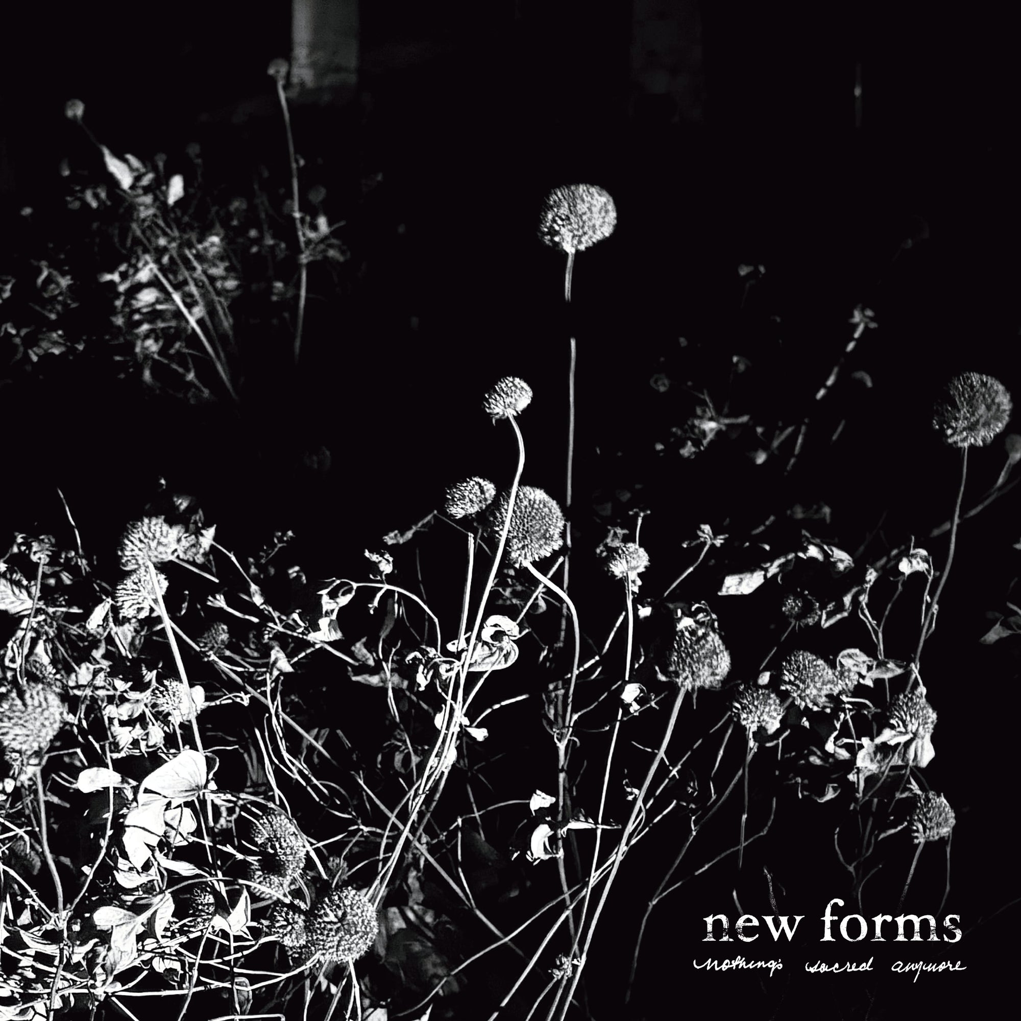 New Forms "Nothing's Sacred Anymore"