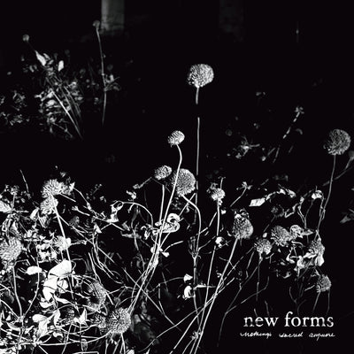 New Forms "Nothing's Sacred Anymore"