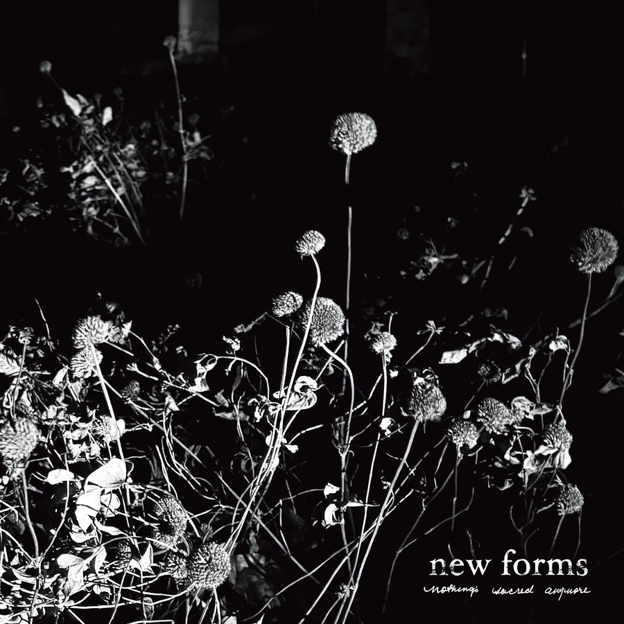 New Forms "Nothing's Sacred Anymore"