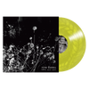 New Forms "Nothing's Sacred Anymore"