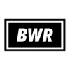 Big Wheel Recreation "BWR" Enamel Pin