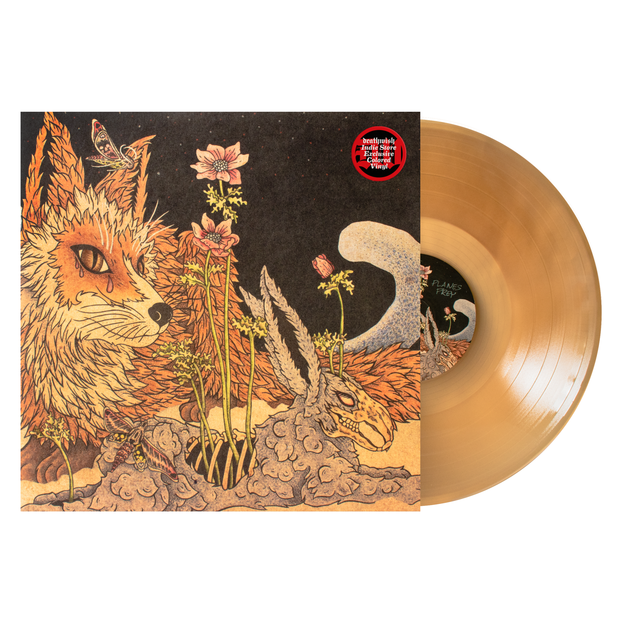 Planes Mistaken For Stars "Prey"