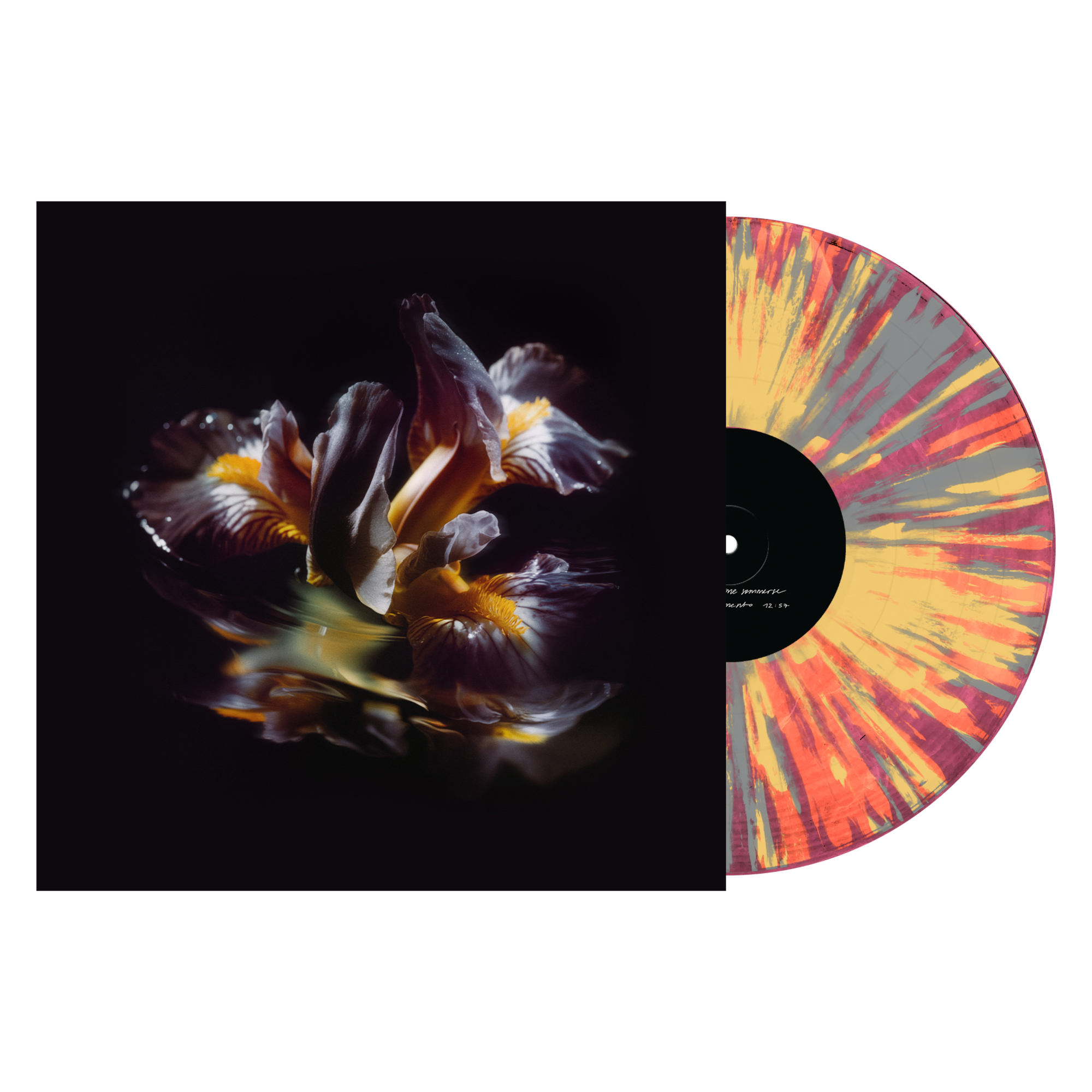 Raein "Forme Sommerse"