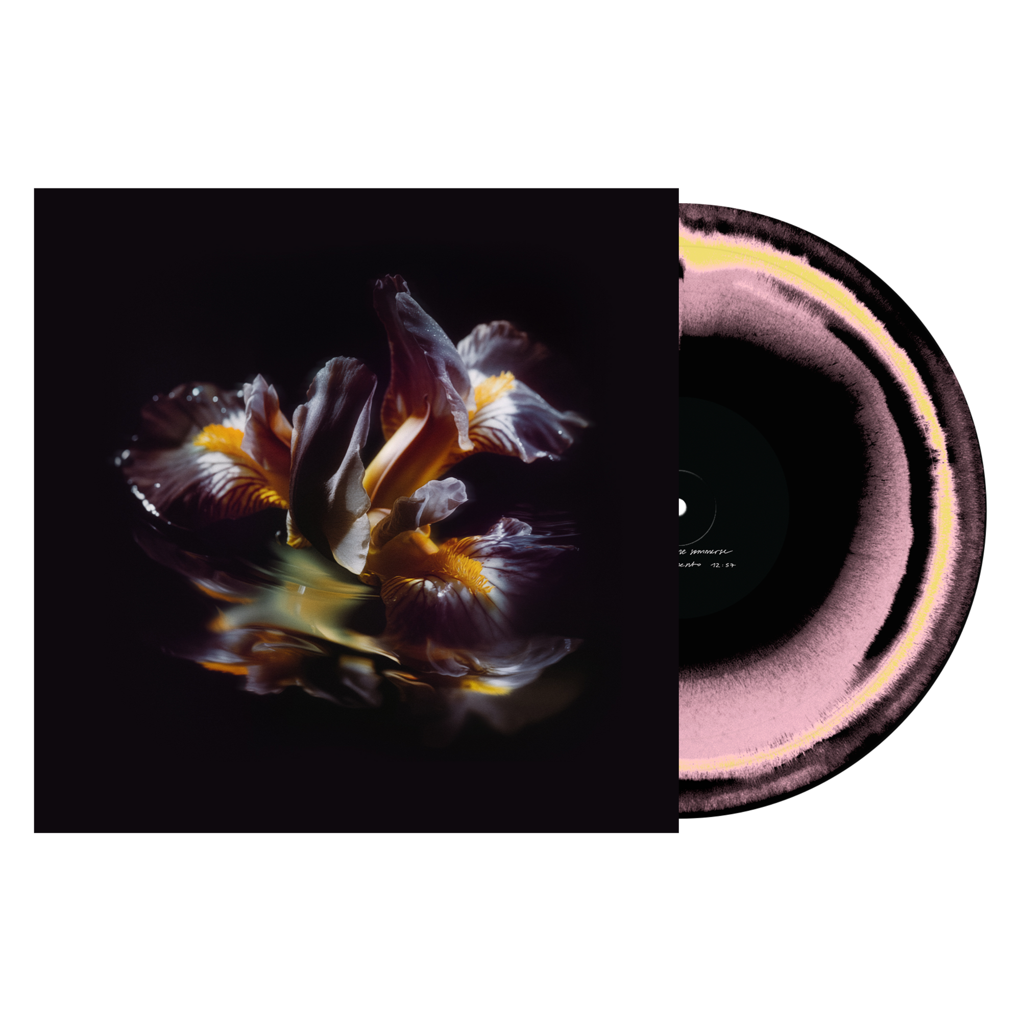 Raein "Forme Sommerse"