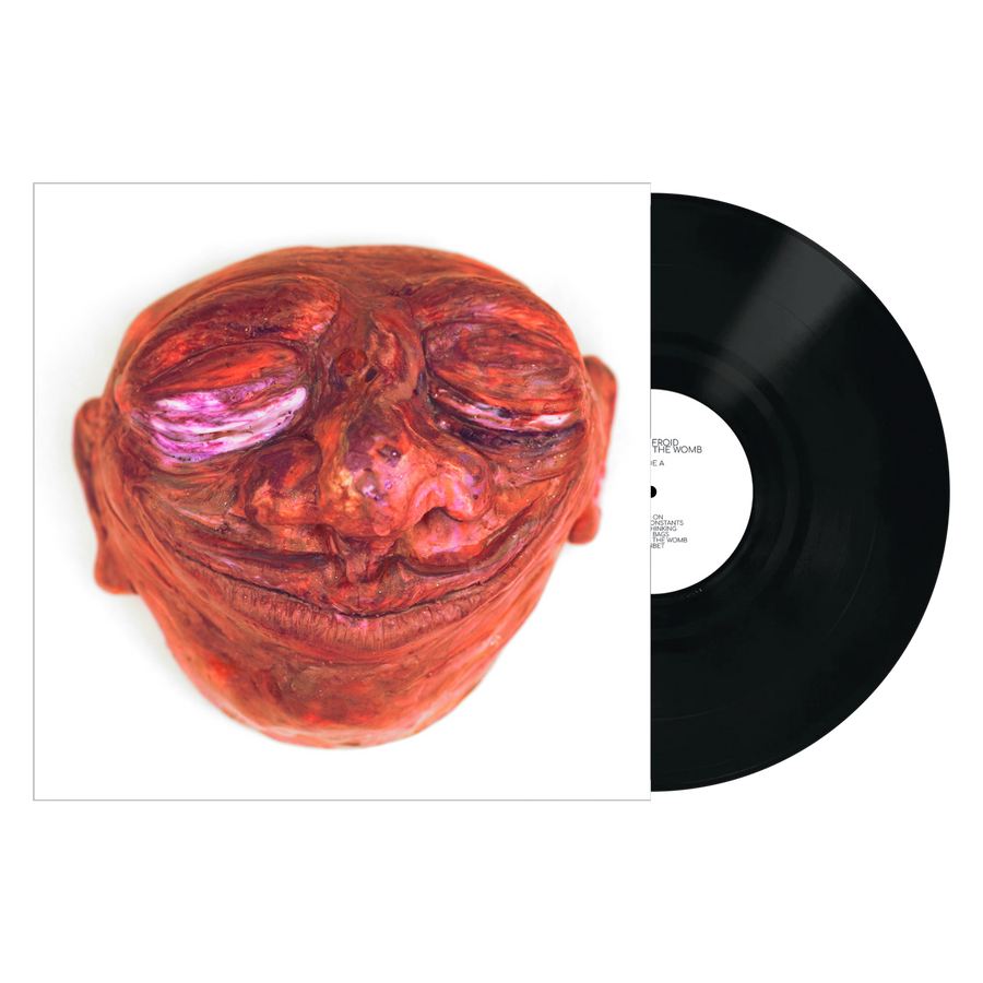 Sans Froid "Back into the Womb"