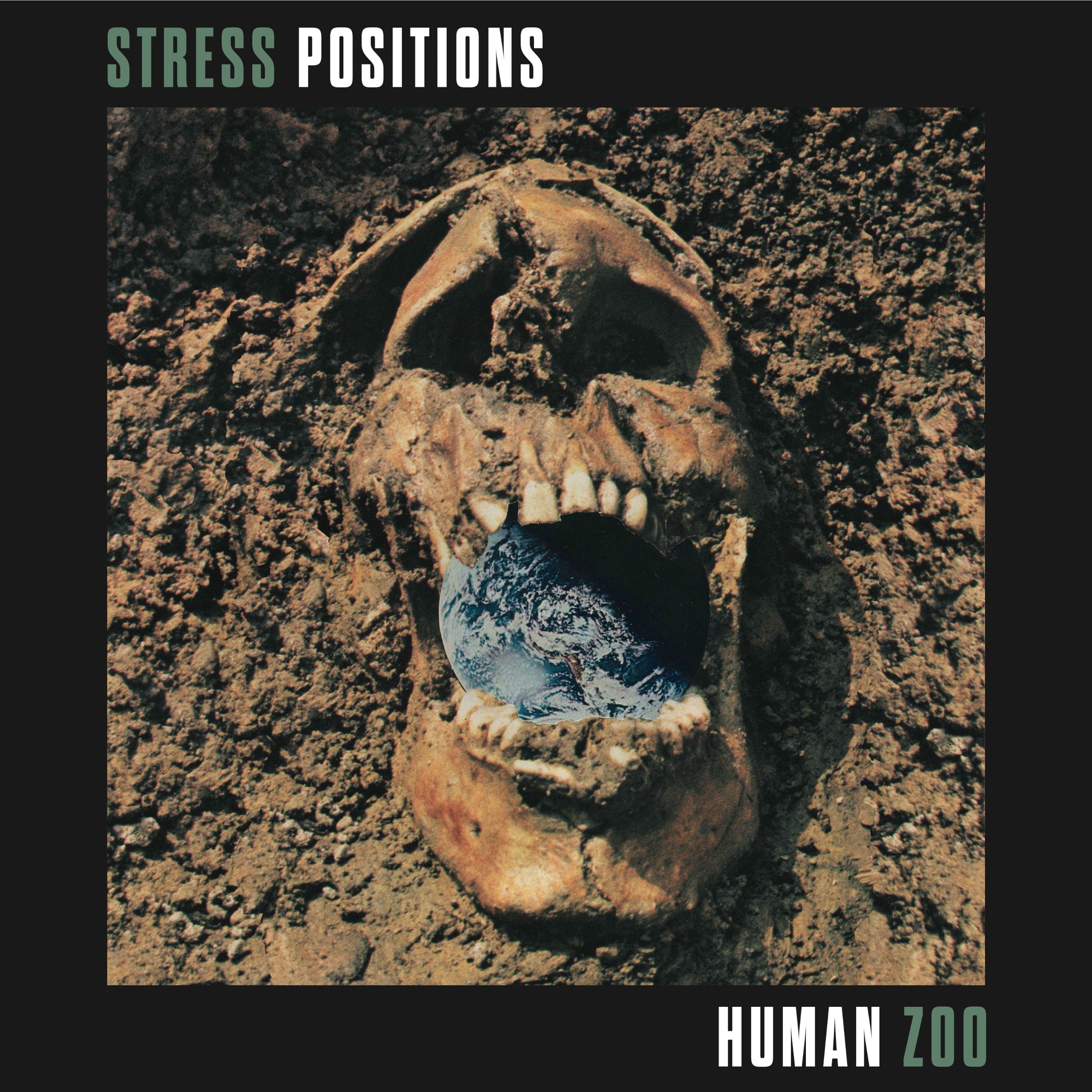 Stress Positions "Human Zoo"