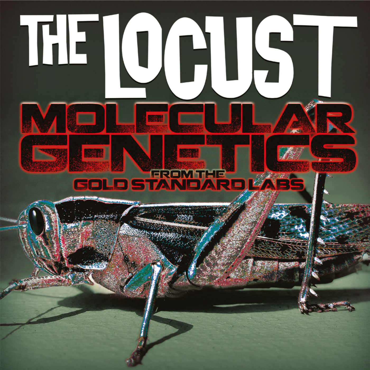 The Locust "Molecular Genetics From the Gold Standard Labs"