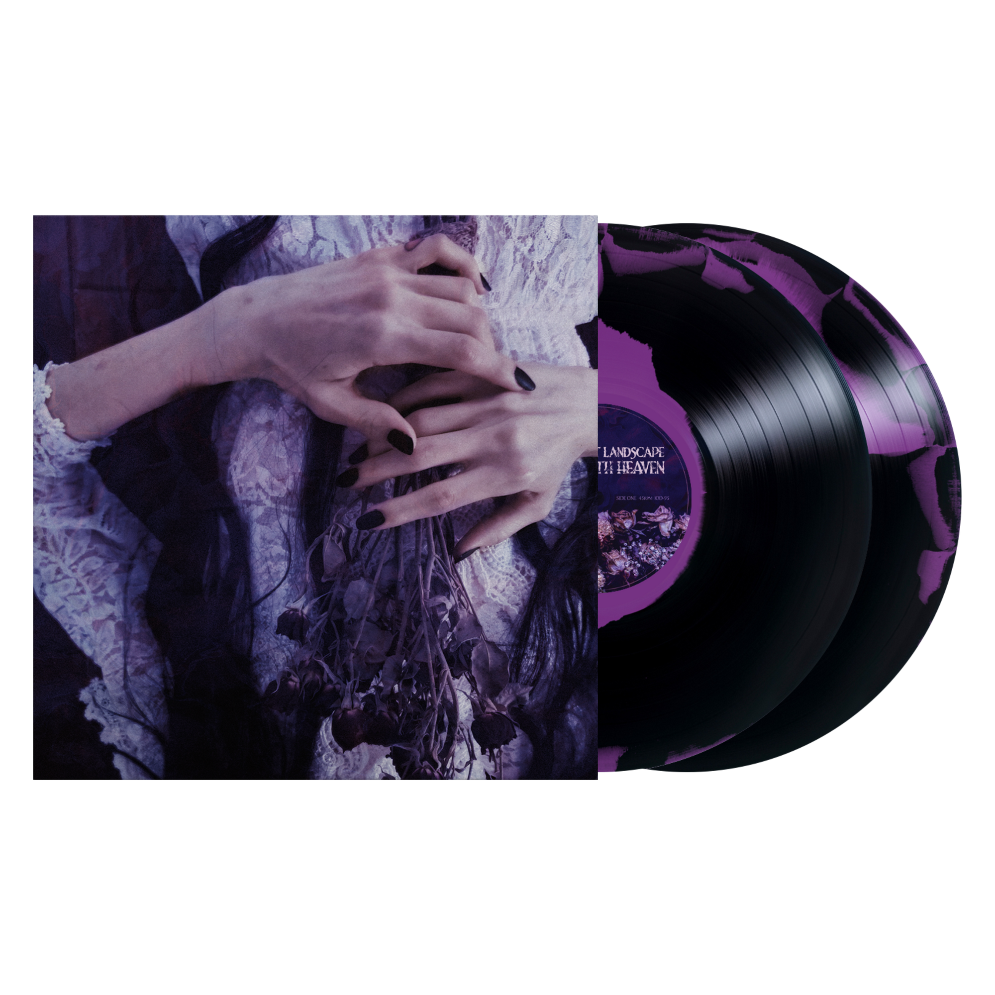 The Saddest Landscape "Alone With Heaven"