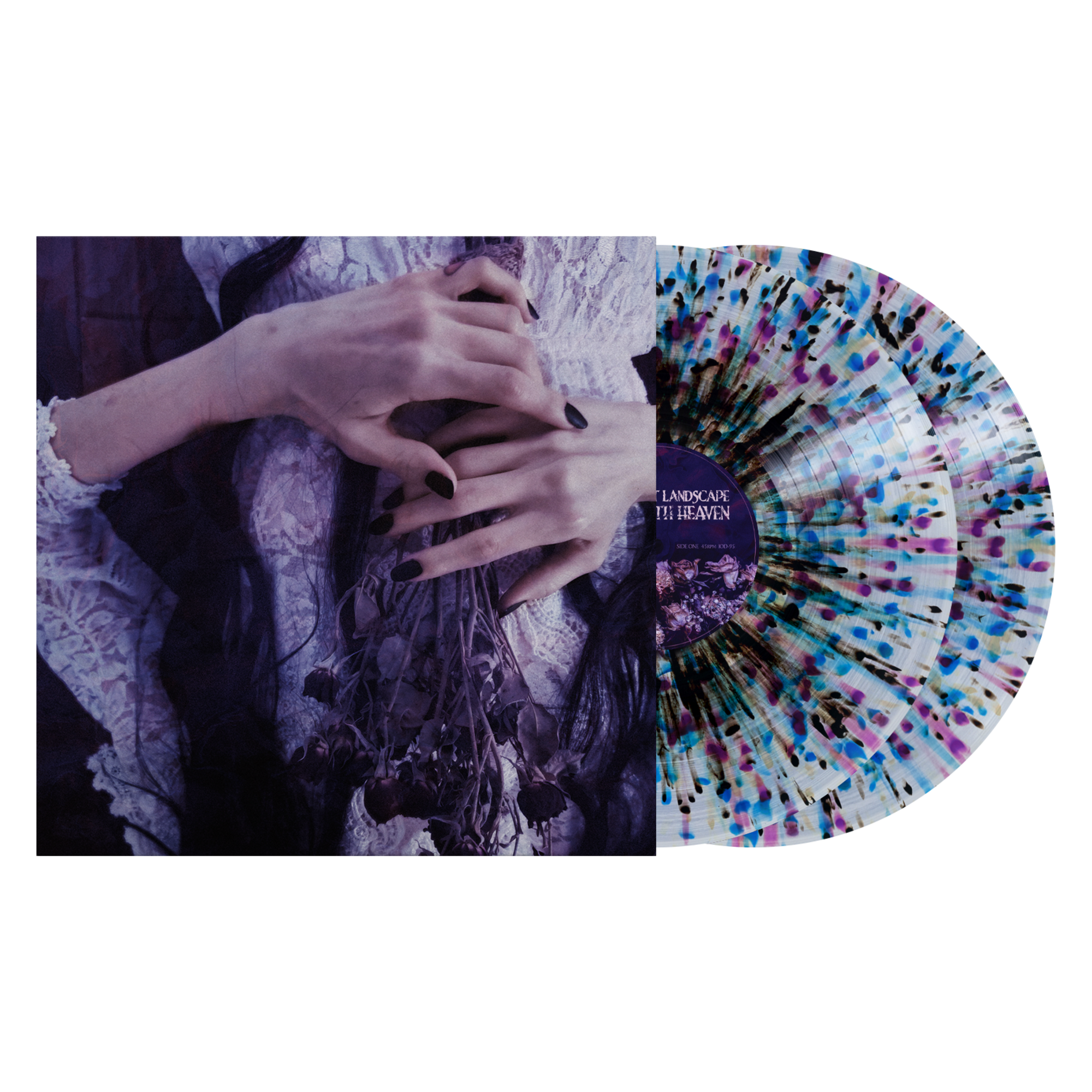 The Saddest Landscape "Alone With Heaven"