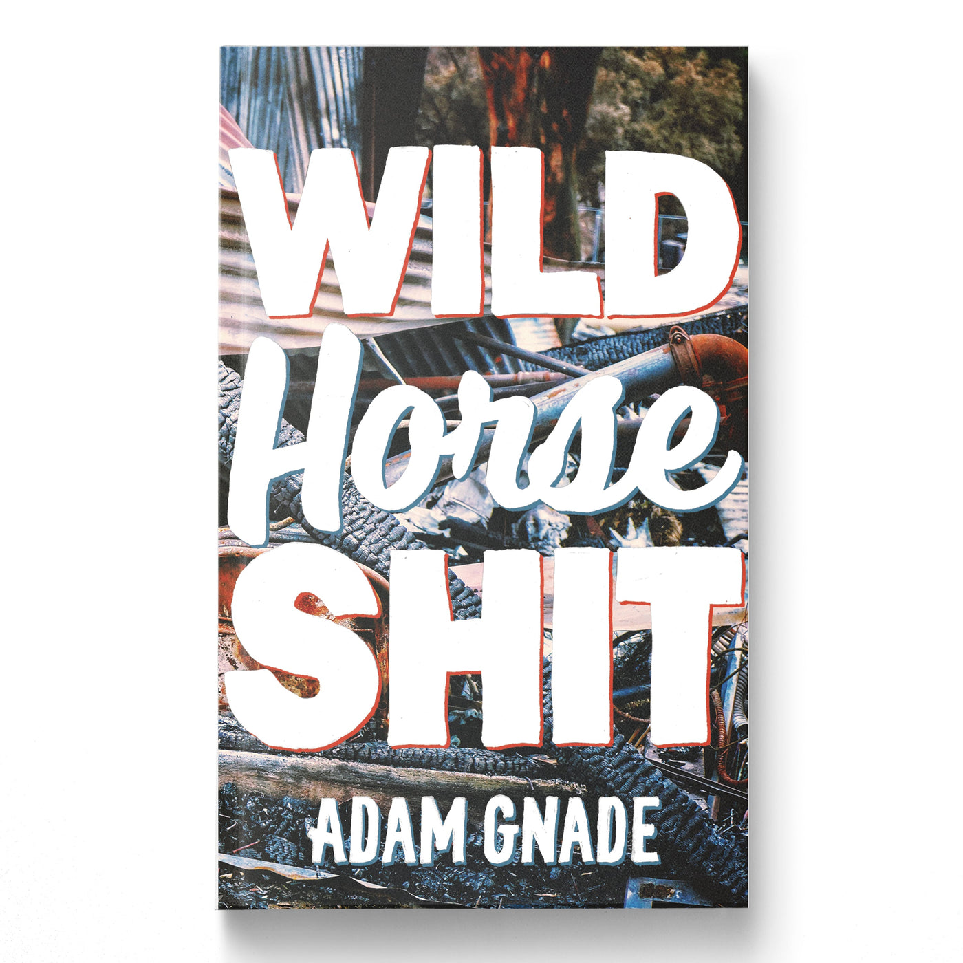 Adam Gnade "Wild Horse Shit"