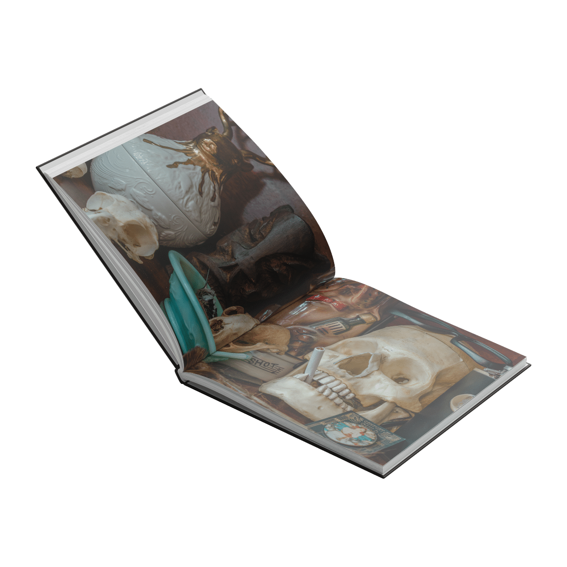 Planes Mistaken For Stars "Do You Still Love Me?"