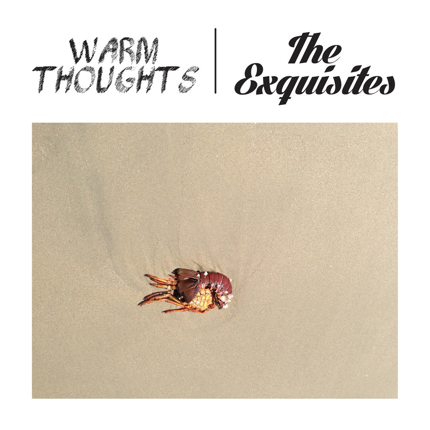 Warm Thoughts (formerly Dad Punchers) / The Exquisites "Split"