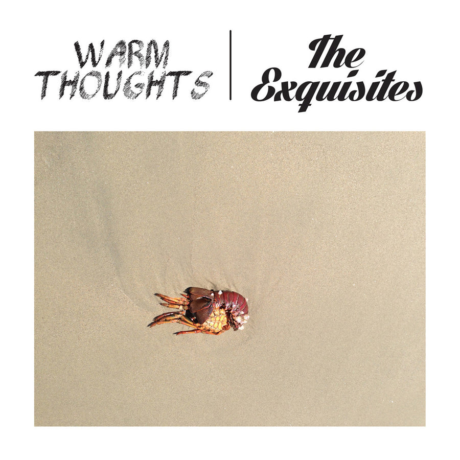 Warm Thoughts (formerly Dad Punchers) / The Exquisites "Split"