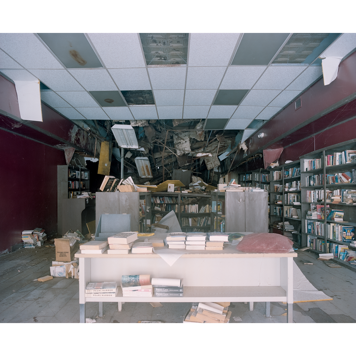 Reid Haithcock "Continual Disaster: The Library" Giclee Print