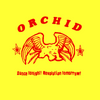 Orchid "Dance Tonight! Revolution Tomorrow!"