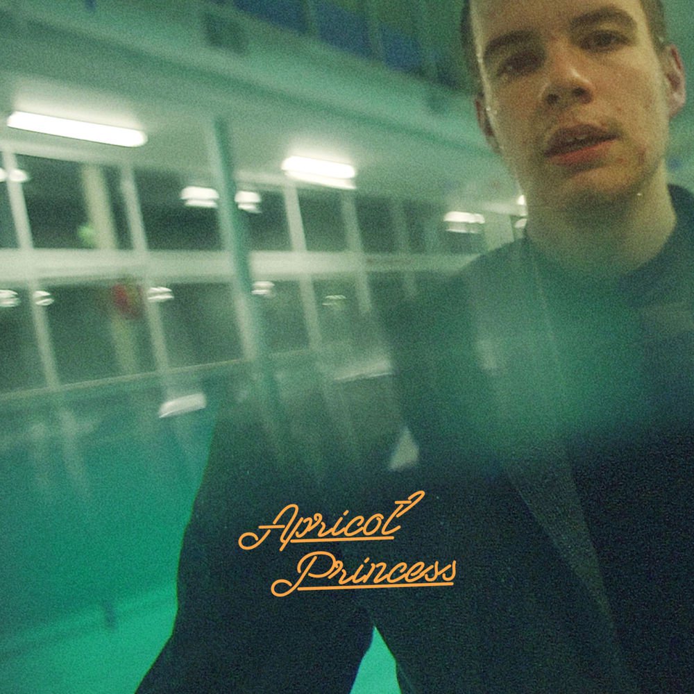 Rex Orange County "Apricot Princess"