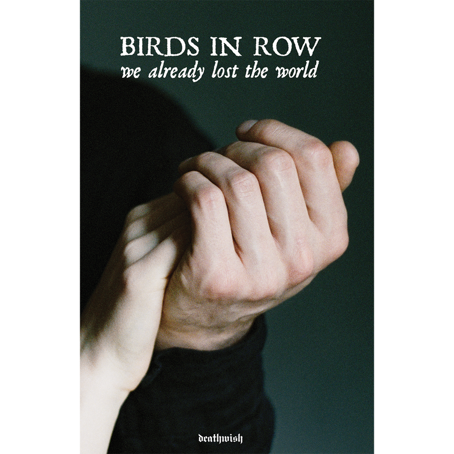 Birds In Row "We Already Lost The World" Poster