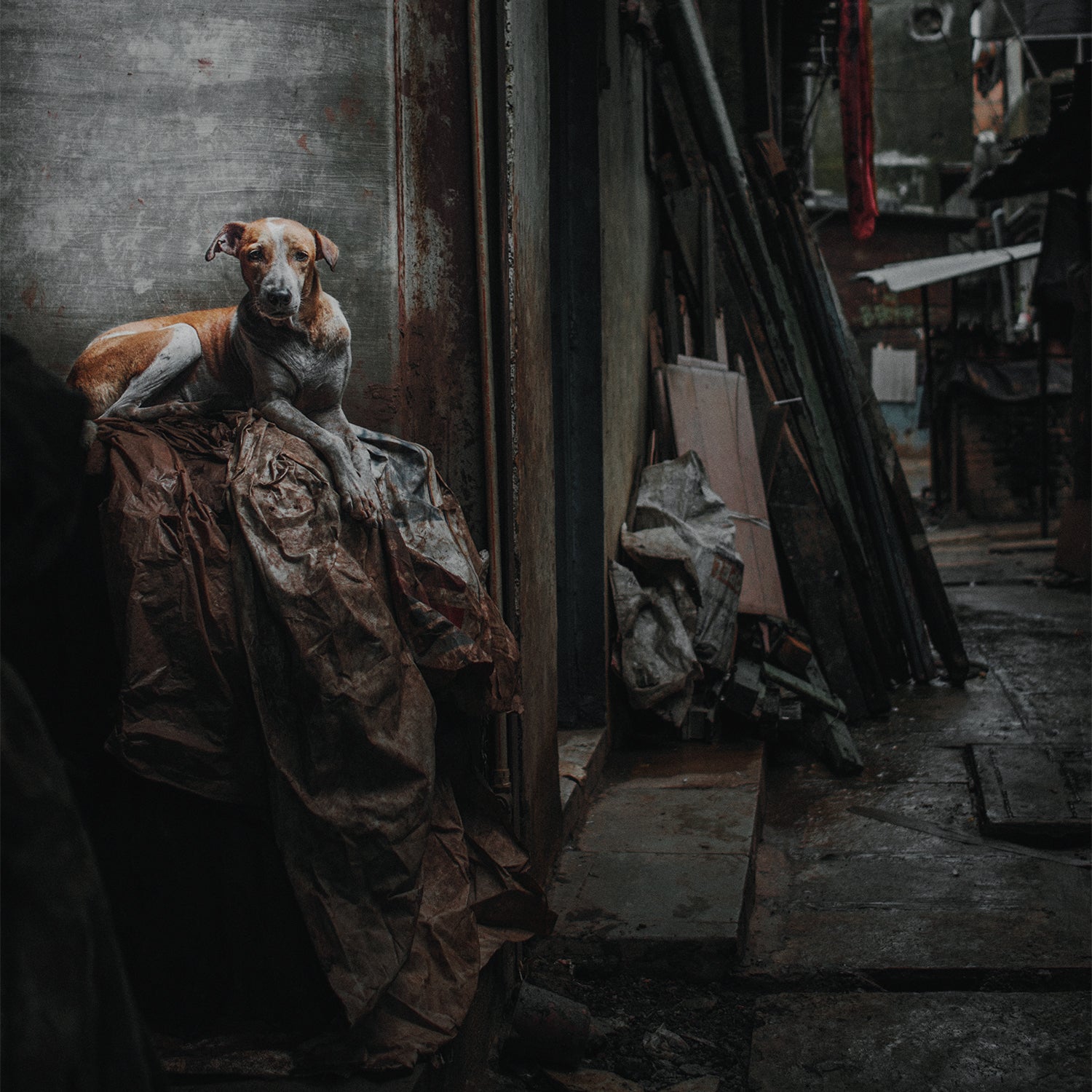 Cremations "Dissolution Of Balance"