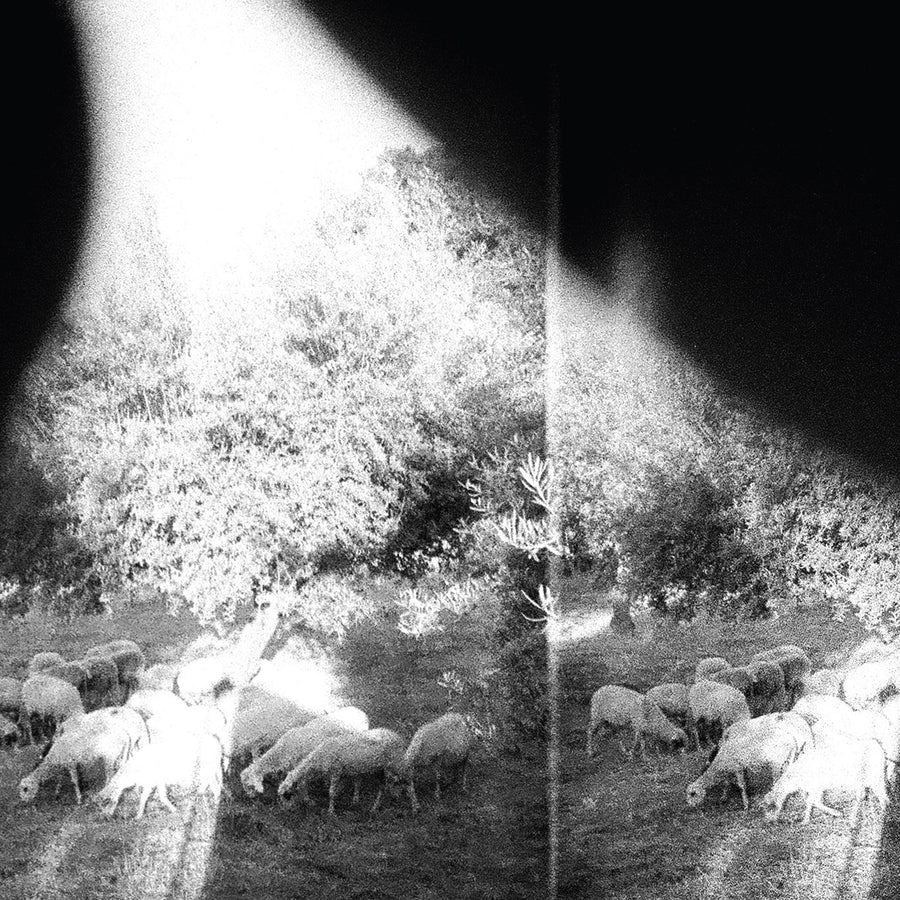 Godspeed You Black Emperor! "Asunder, Sweet And Other Distress"