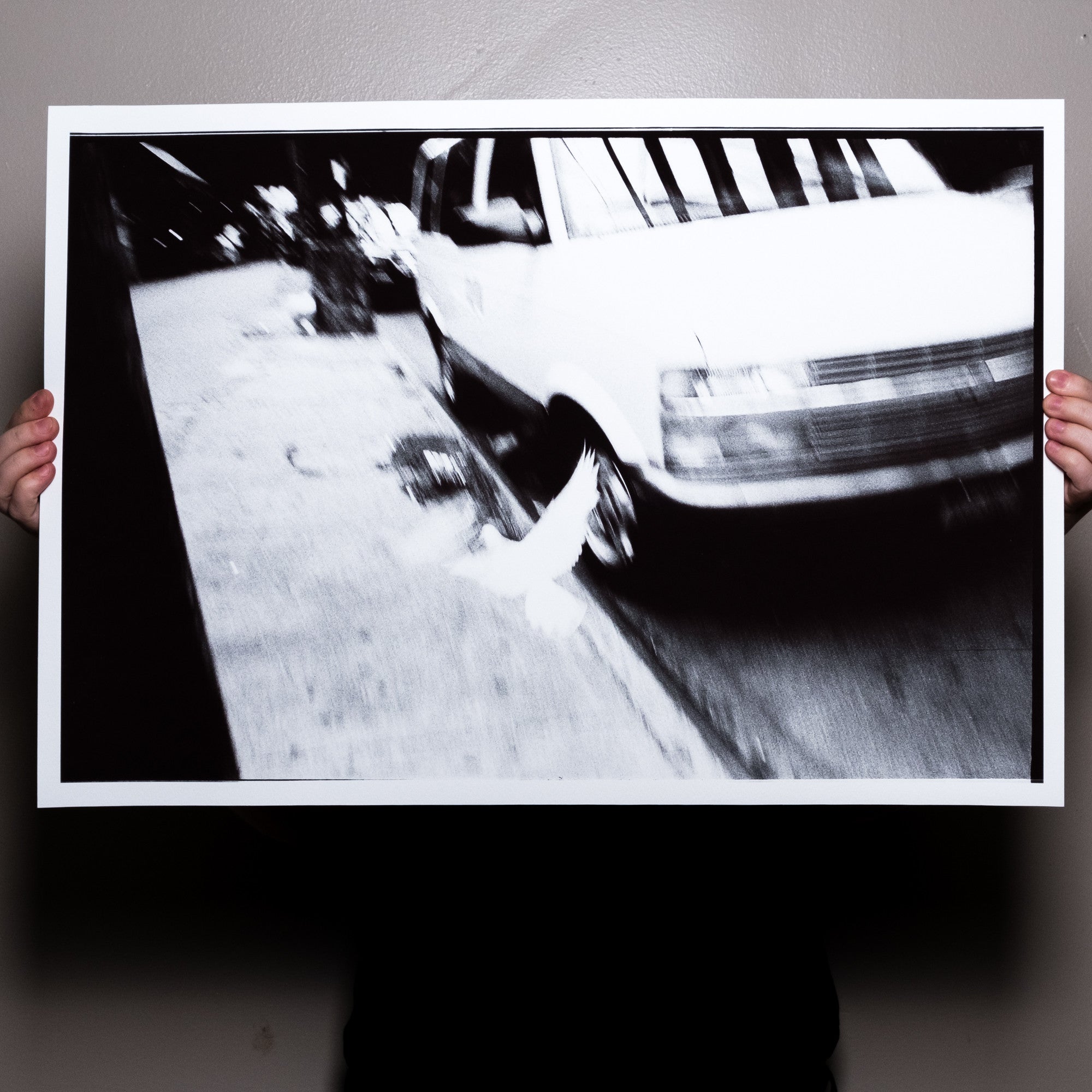 Reid Haithcock "Brooklyn Dove" Giclee Print