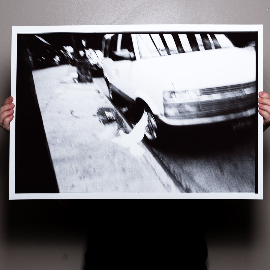 Reid Haithcock "Brooklyn Dove" Giclee Print