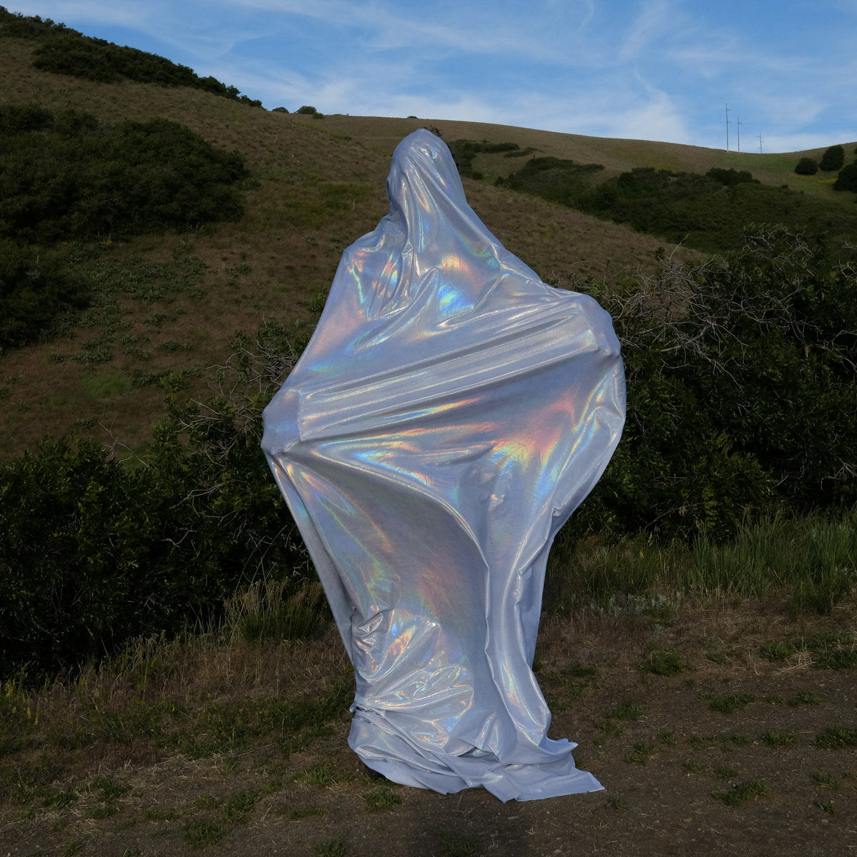 No Sun / Pale Shade "Split"