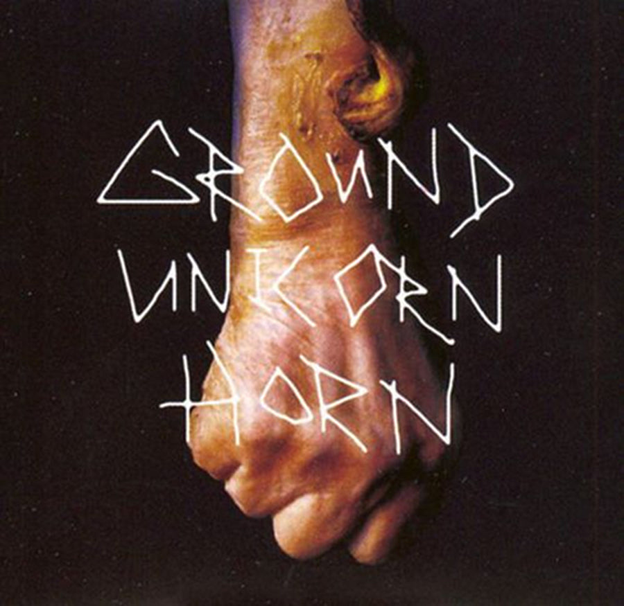 Ground Unicorn Horn "Damn I Wish I Was Fat b/w Someone"