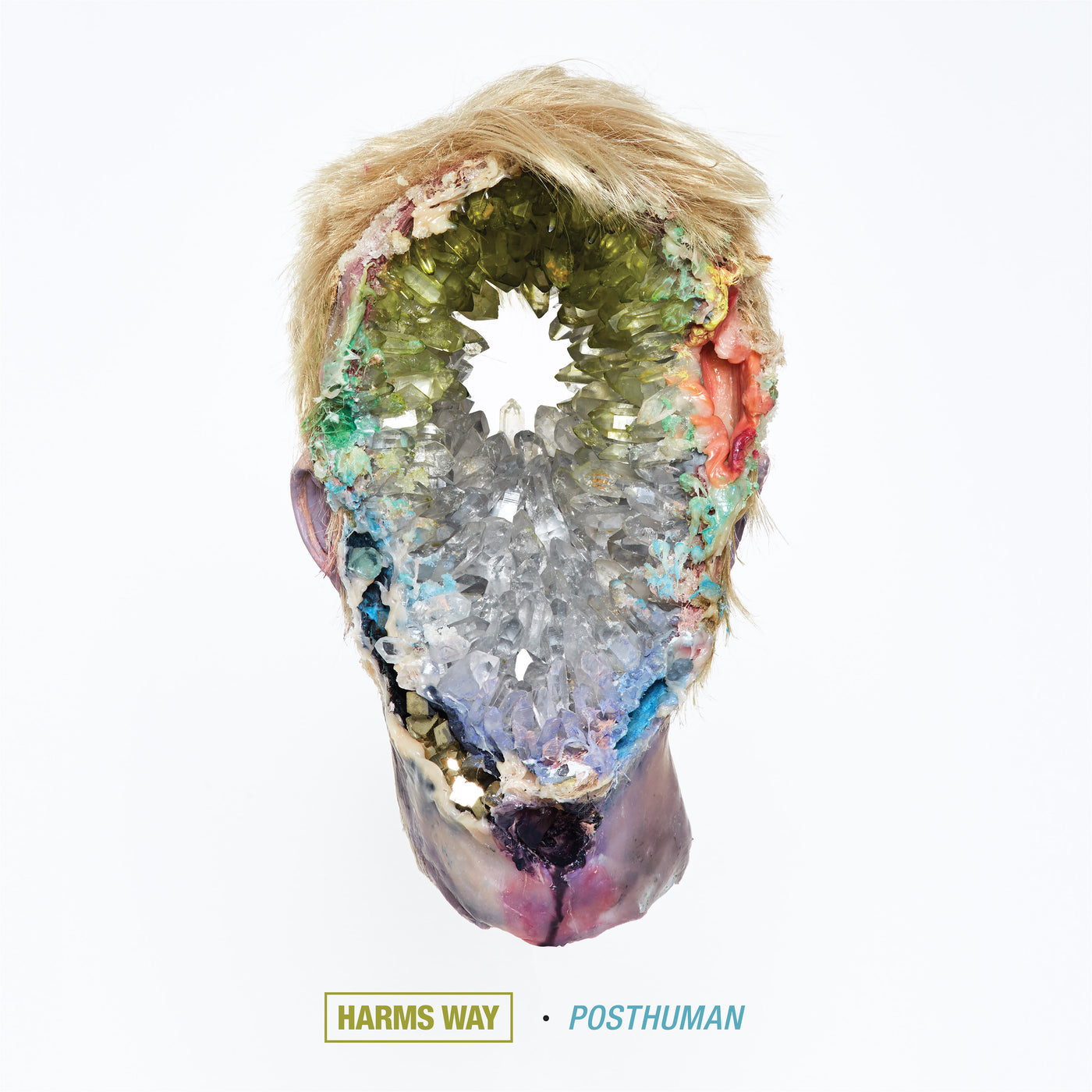 Harm's Way "Posthuman"
