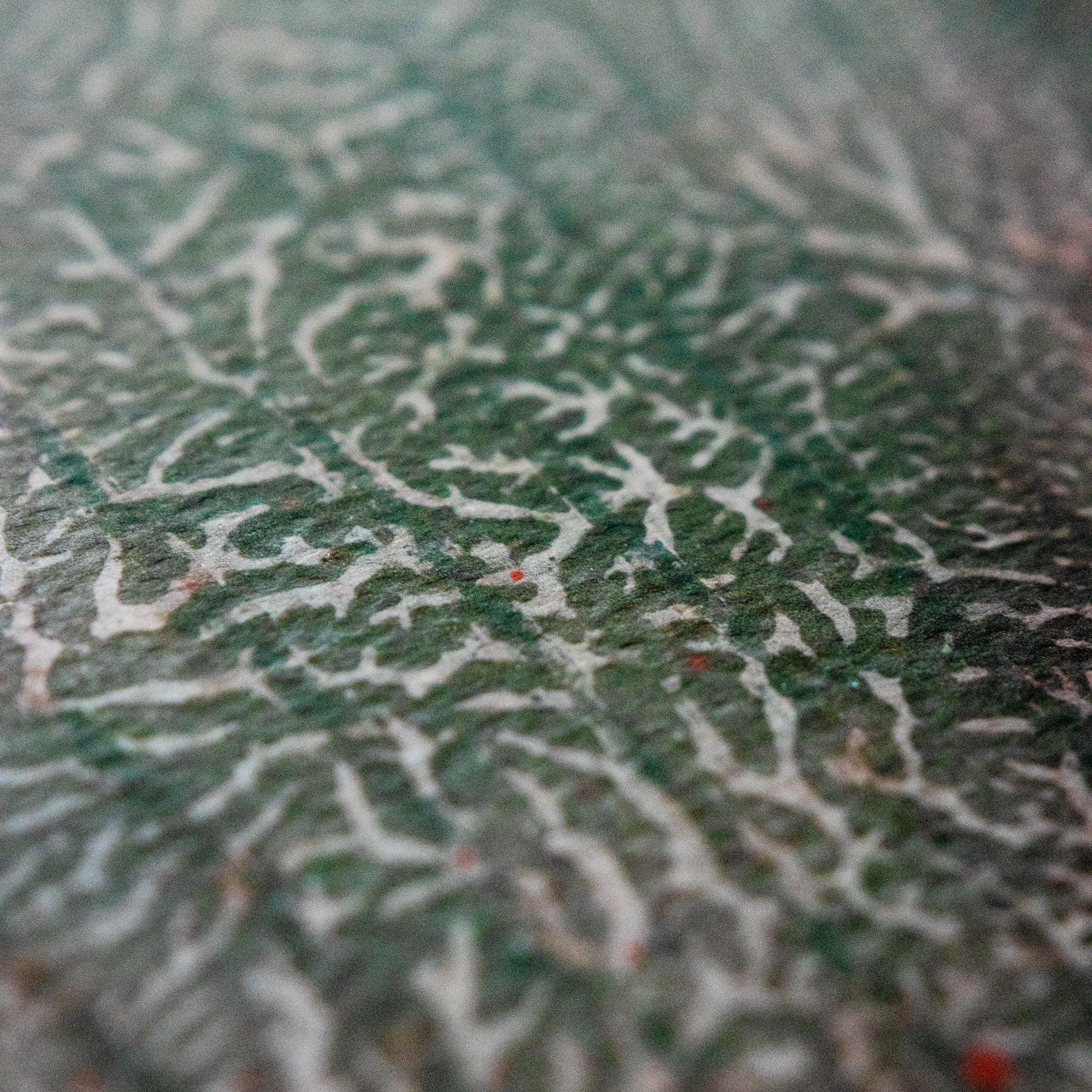 Thomas Hooper "Heart" Giclee Print