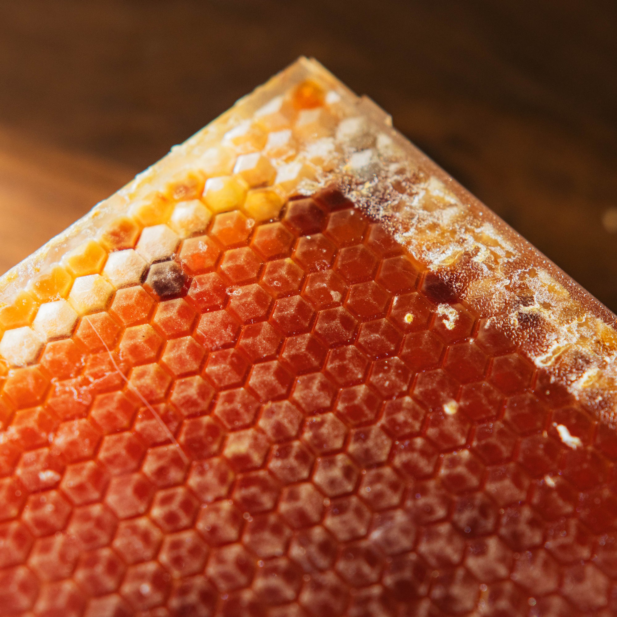 The Martin Hives Honey Co. "Connecticut Honey Comb"