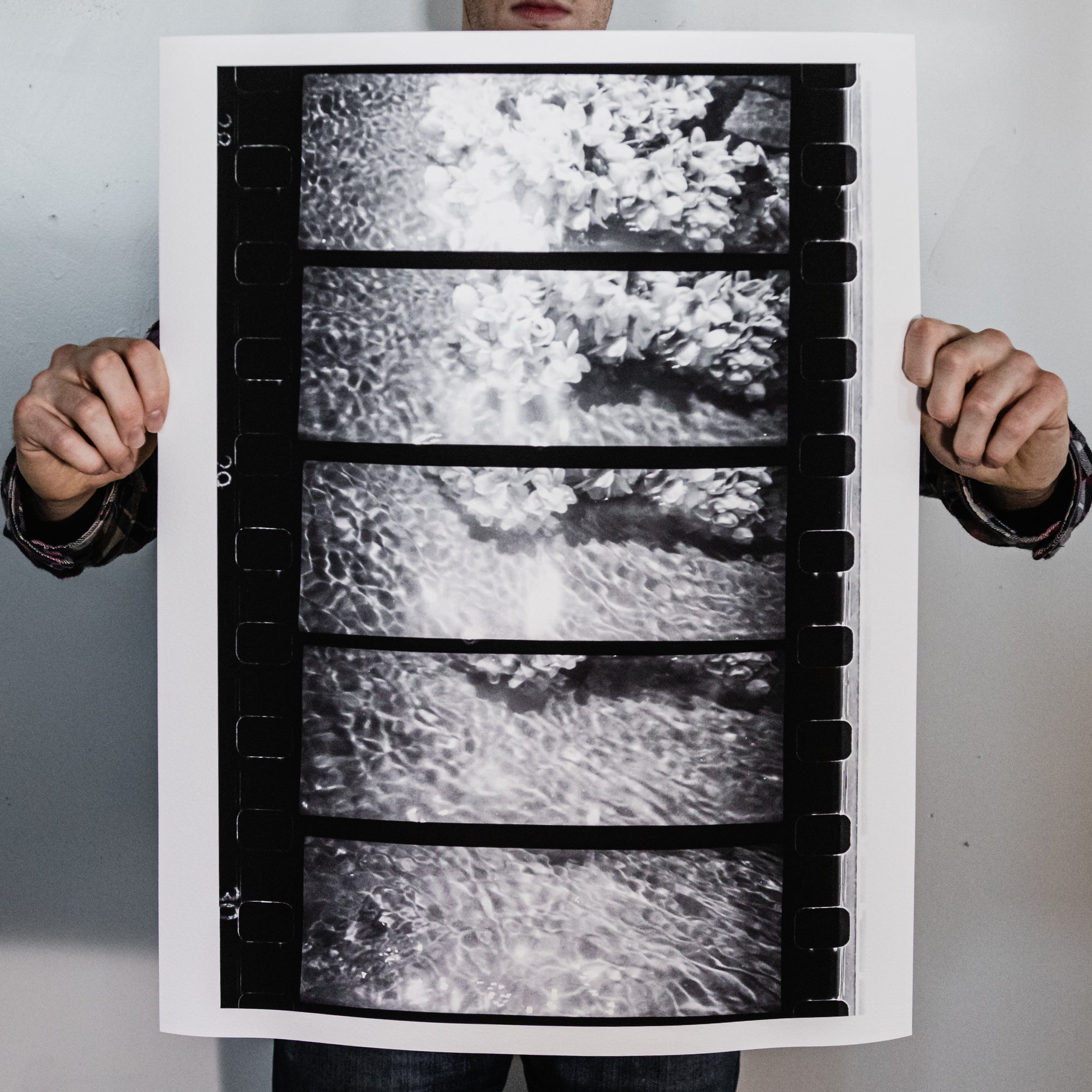 Reid Haithcock "Shrinking Violet 1" Giclee Print