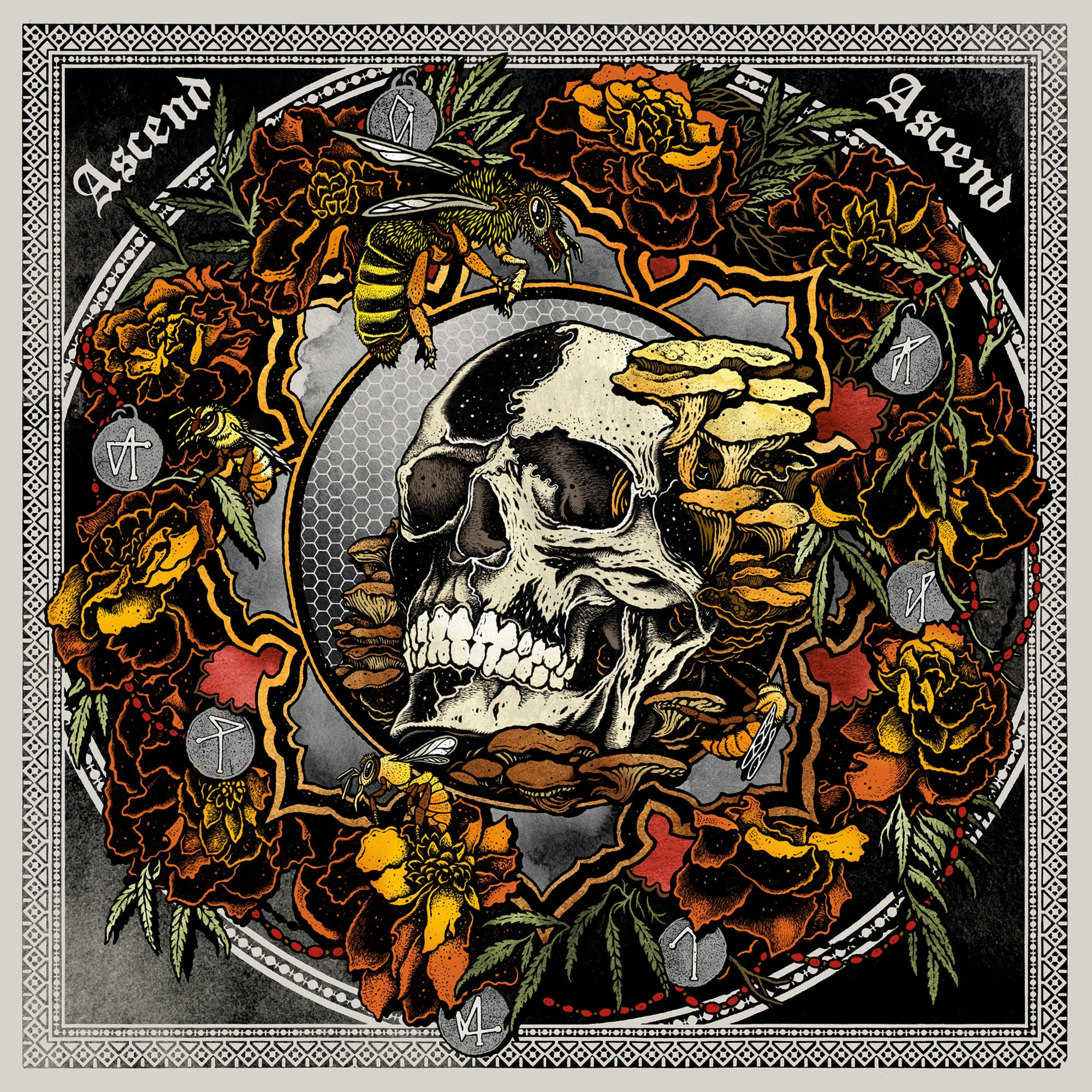 Janaka Stucky “Ascend Ascend: Live in Seattle with Lori Goldston”