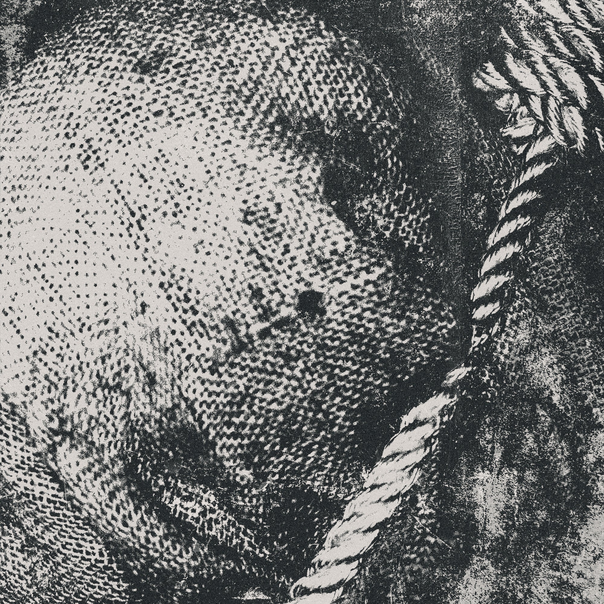 Lifesick "Swept In Black"