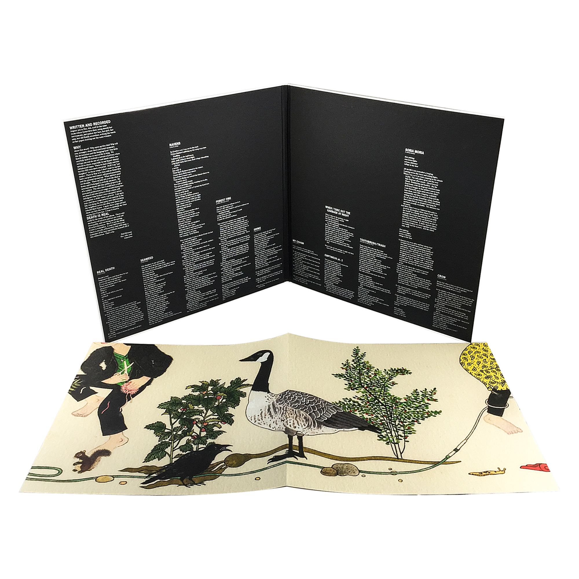 Mount Eerie "A Crow Looked At Me"