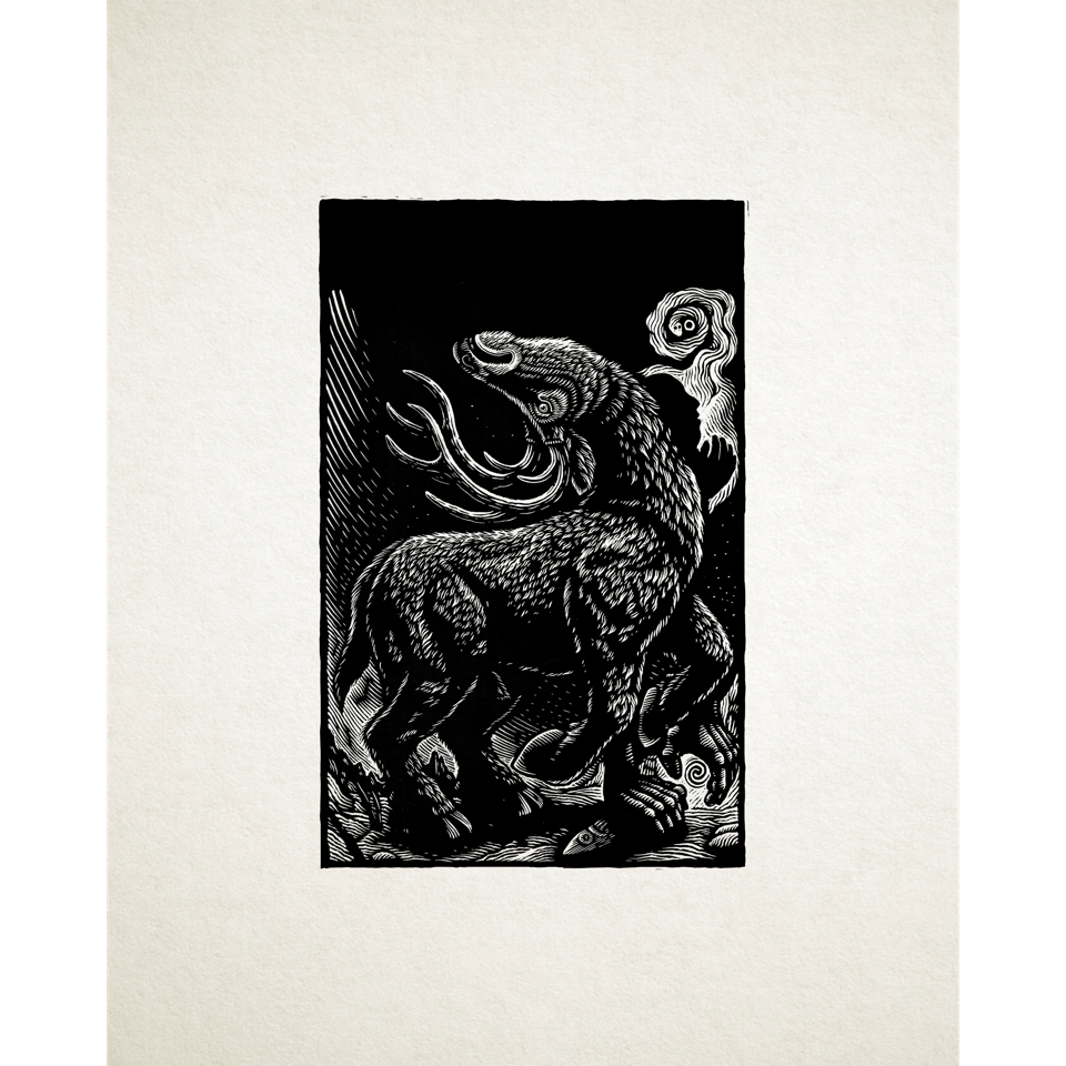 Steve Von Till “No Wilderness Deep Enough”