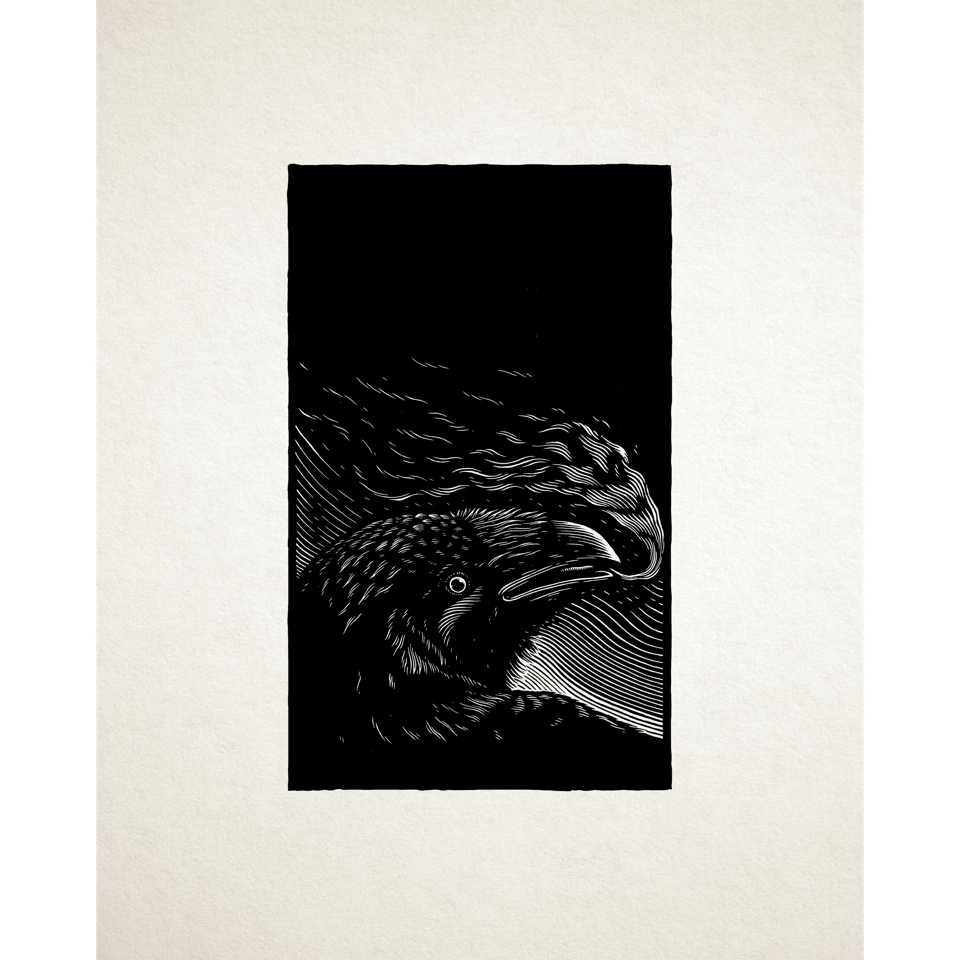 Steve Von Till “No Wilderness Deep Enough”